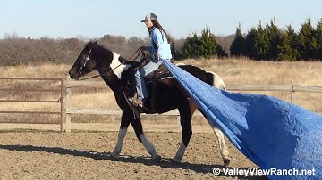 William - dragging the tarp! - ValleyViewRanch.net
