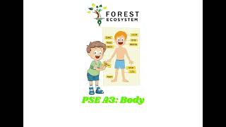 PSE A3 - lesson 2