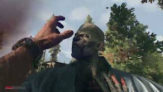 : Dying Light The Beast |  8