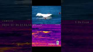 AI PTZ camera spots surfers 1 kilometre away | Dual-Spectrum Long-Range Camera
