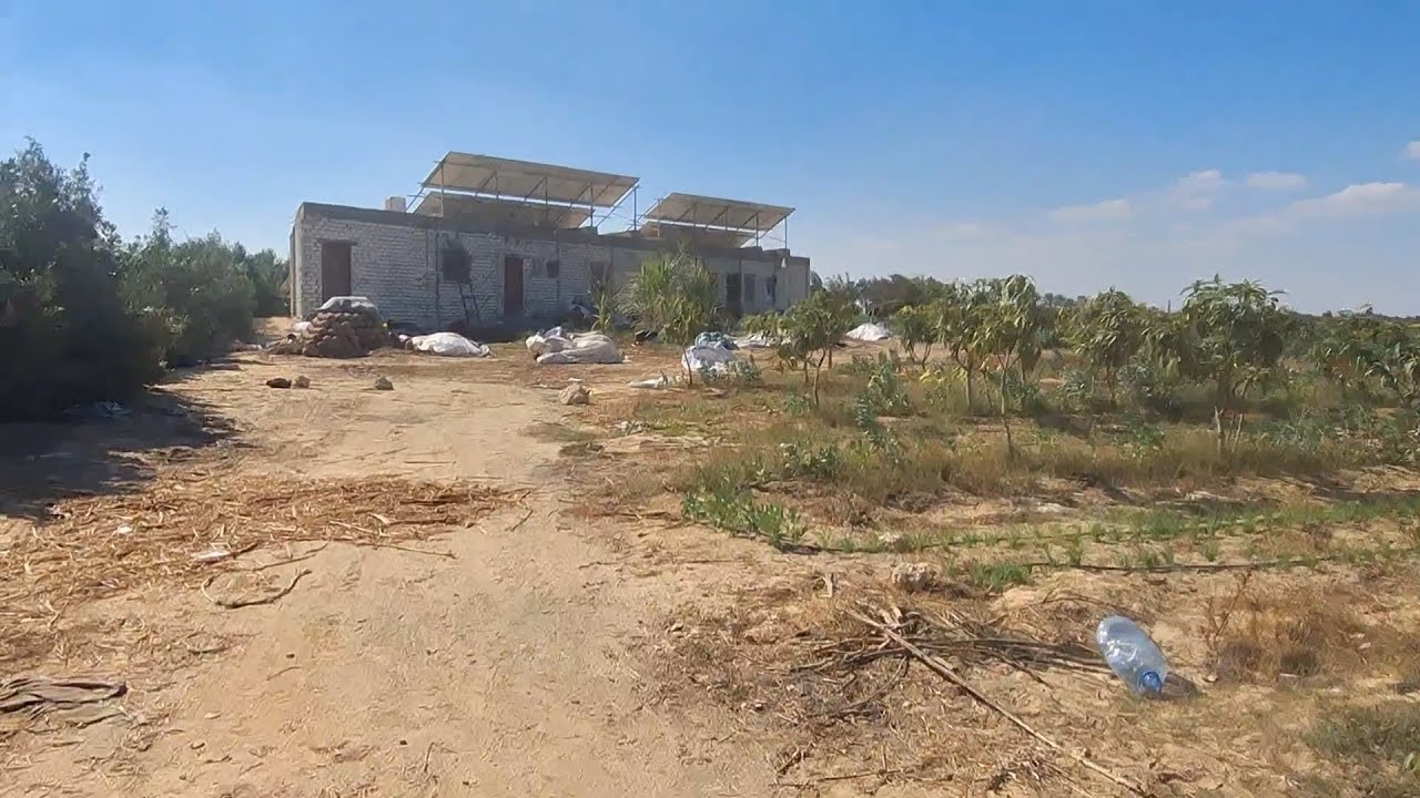 مزرعة للبيع 10 فدان مانجو في وادي النطرون طريق مصر اسكندرية الصحراوي