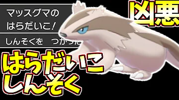 マッスグマ マッスグマ