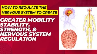 Meditative Movement For Mobility, Stability, & Nervous System Regulation