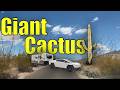 Cybertruck Towing RV to Saguaro National Park Arizona: Catalina State Park & Wilcox KOA!