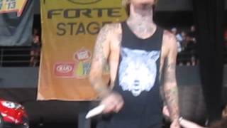 Thermacare-Chiodos Warped Tour 2013 Milwaukee