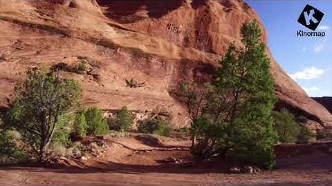 Ride, run or row from home on Kinomap