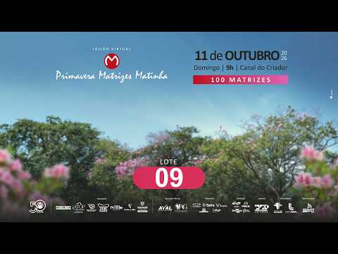 LOTE 09