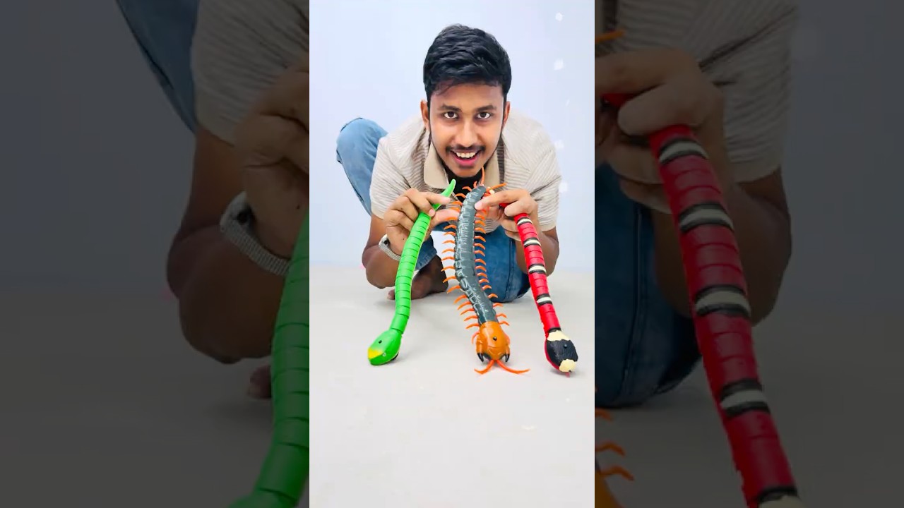 3 Piece RC Snake Video | Snake Unboxing