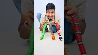 3 Piece Rc Snake Video Snake Unboxing