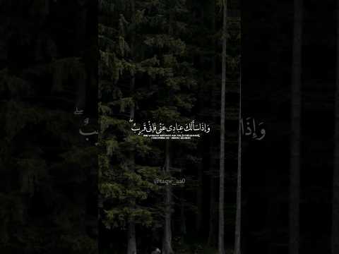 ماهر المعيقلي وإذا سألك عبادي عني فإني قريب أجيب دعوة الداع إذا دعان