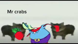 This Is A Mr Crabs