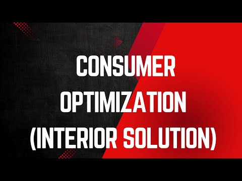 Lesson 61 - Consumer optimization Interior solution