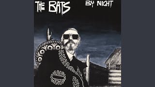 Video thumbnail of "The Bats - I Go Wild"