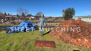 Sheet Mulching