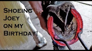 Horseshoeing Joey on my birthday.
