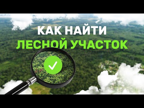 Как выбрать лесной участок. Как найти лесной участок. Аренда лесного участка