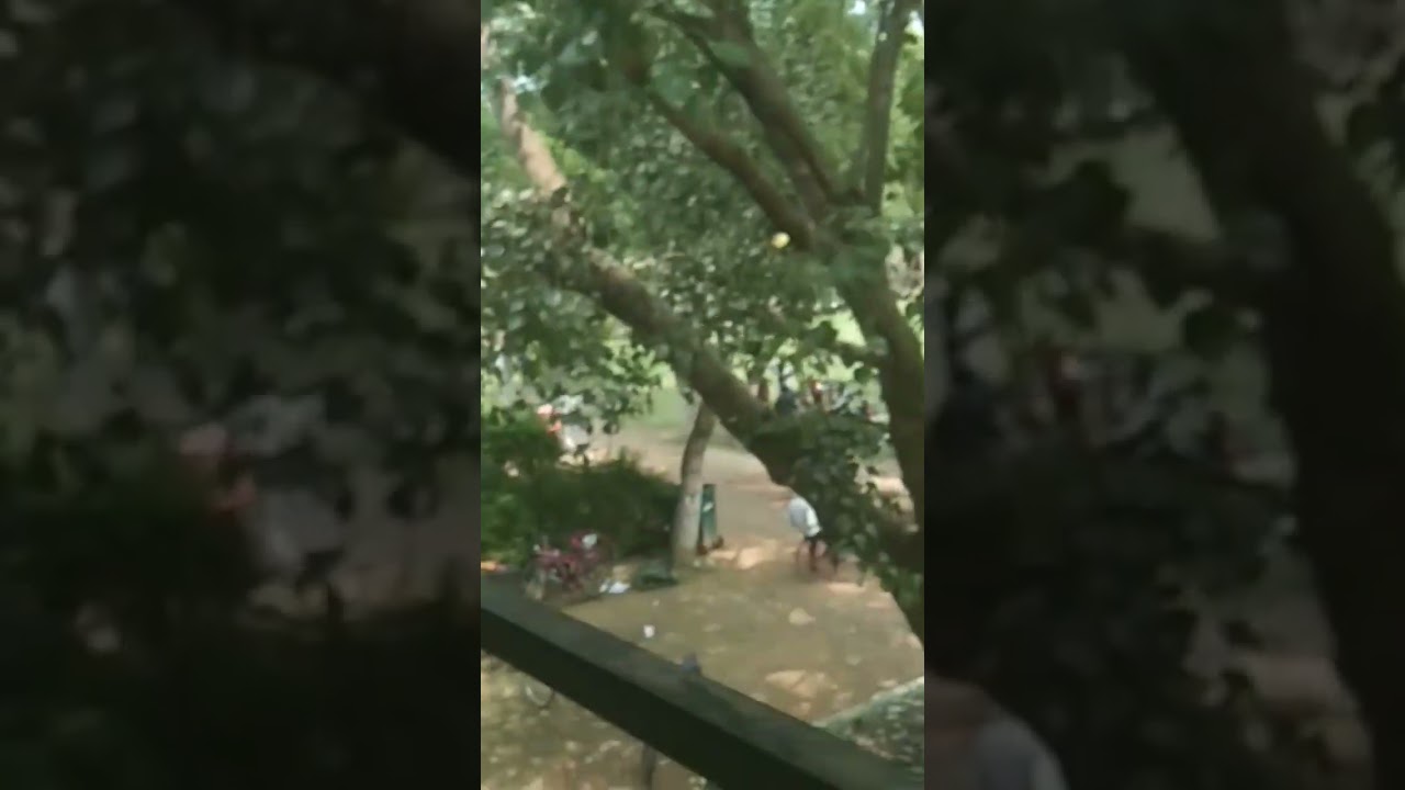 my first vlog of school tour💙