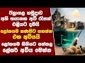 ඊශ්රායලය අති භයානක අවි රැසක් එළියට දමයි
