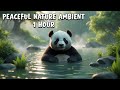1-Hour Peaceful Nature Atmosphere – Calm Natural Ambience for Relaxation | Relaxing Panda