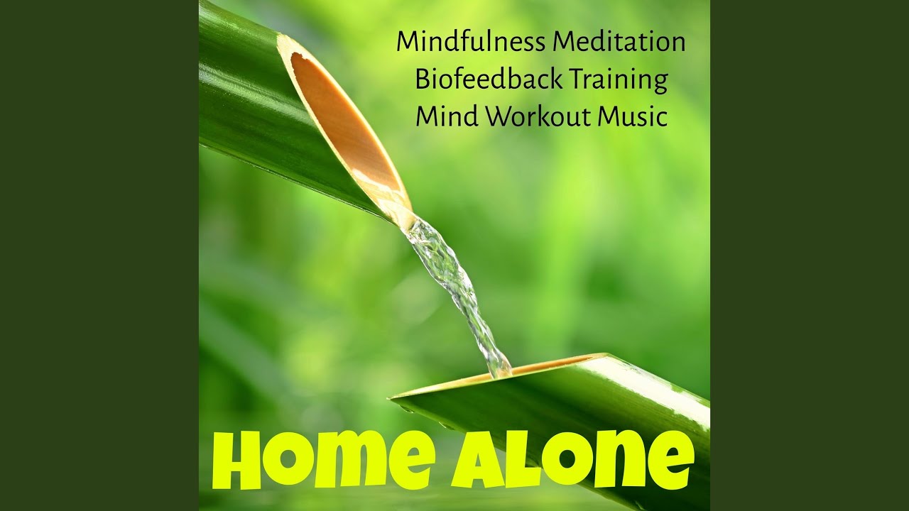 Serenity Style (Brainwave Entrainment)