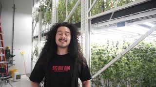 BLINDGORILLAS BIG BOY DRO HQ 05/06/24