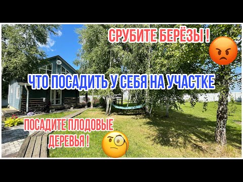 Почему не посадите плодовые деревья? Срубите берёзы. Дачный влог