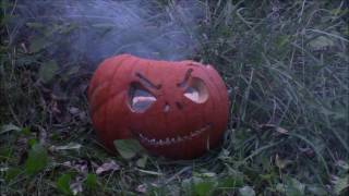 Pumpkins Meet Tannerite