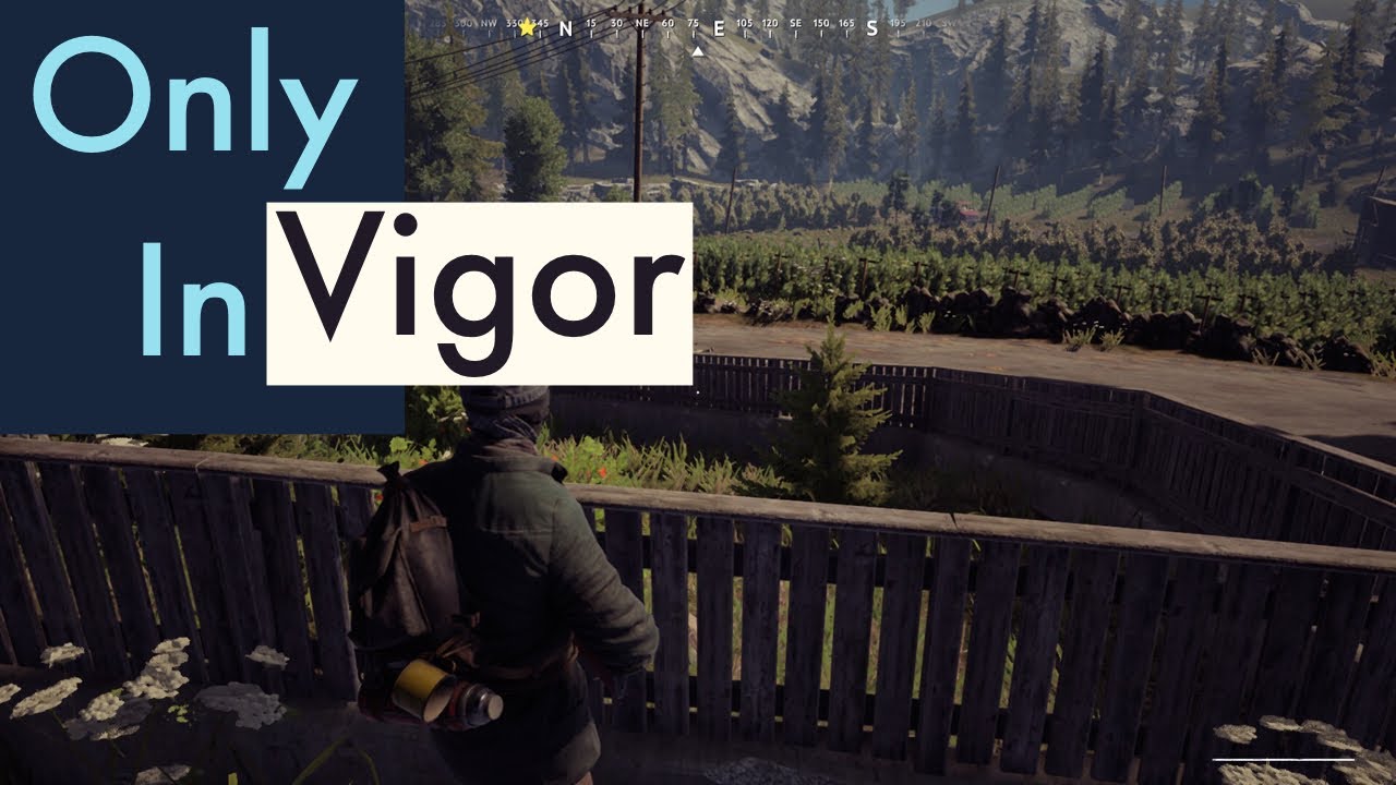 vigor meaning