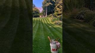 Its about time someone showed you...
Mow your lawn like a pro 💪 Its about time someone showed you...
