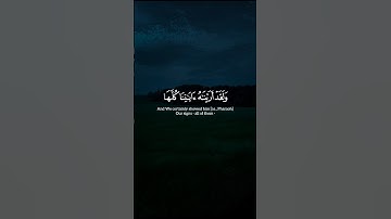 محمد أيوب | #سورة_طه #قرآن #القرآن_الكريم #قران_كريم #quran