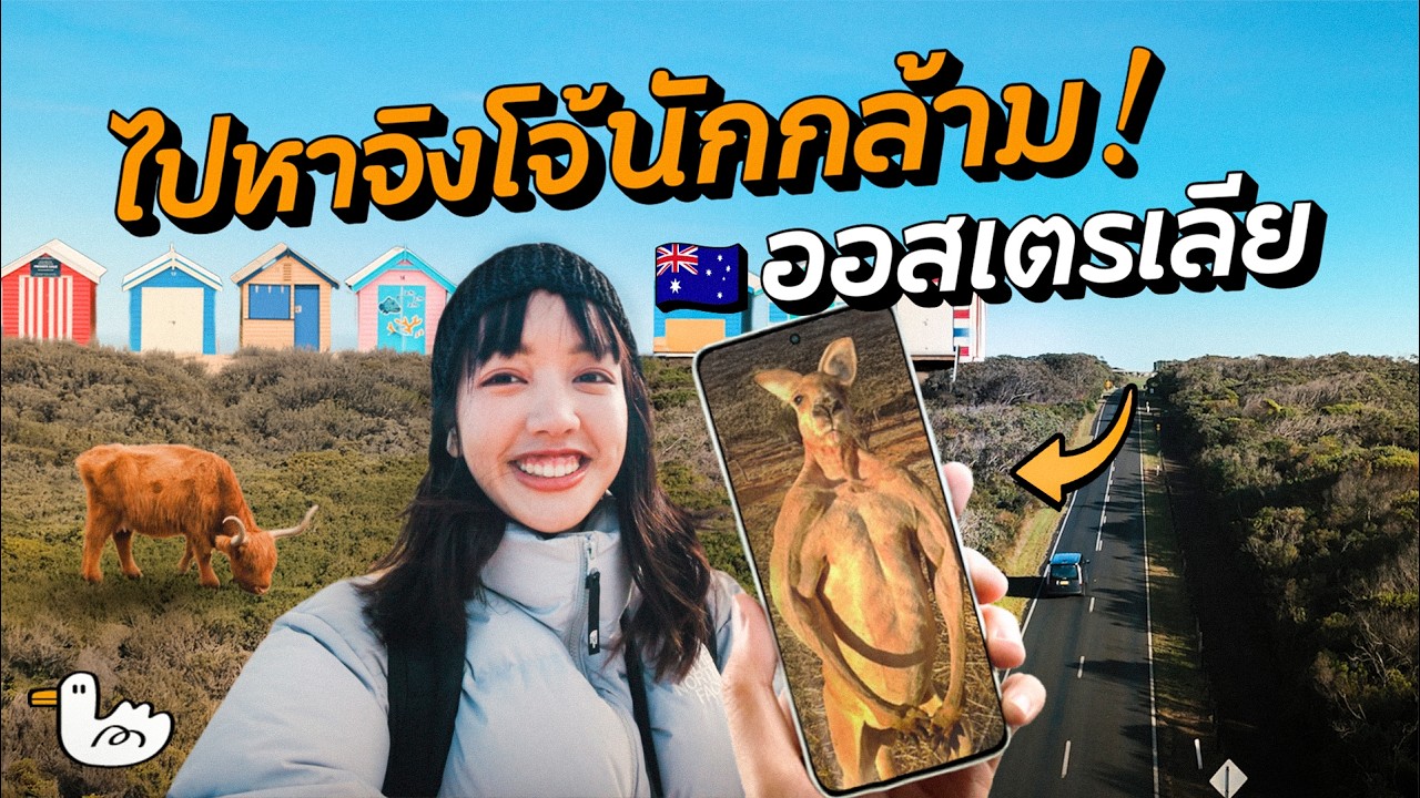 24 ชมแรก ออสเตรเลีย ดินแดนสัตว์ประหลาด!?  | เกาะฟิลลิป