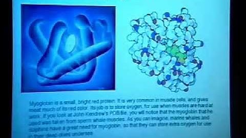 TCBG Summer School 2003: Intro. to Protein Structure & Dynamics - Equilibrium Properties of Proteins