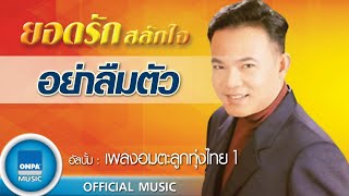 ยอดรัก สลักใจ - อย่าลืมตัว (OFFICIAL MUSIC)