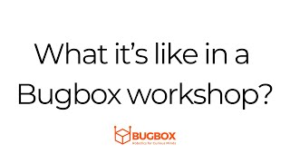 Bugbox Workshop Sampler