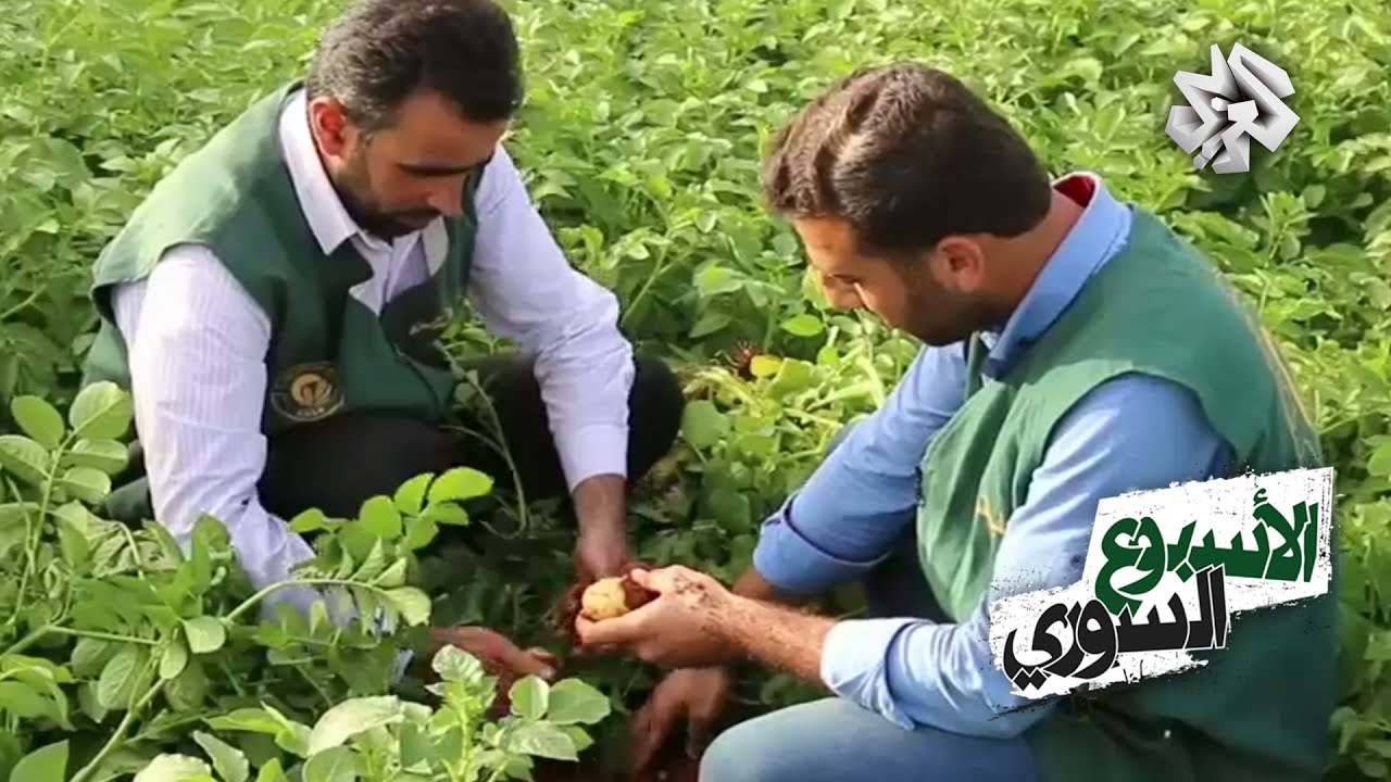 الأسبوع السوري | واقع الزراعة في سوريا