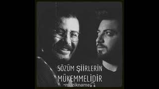 Ahmet Kaya & Taladro-(sözüm şiirlerin mükemmelidir)🎧