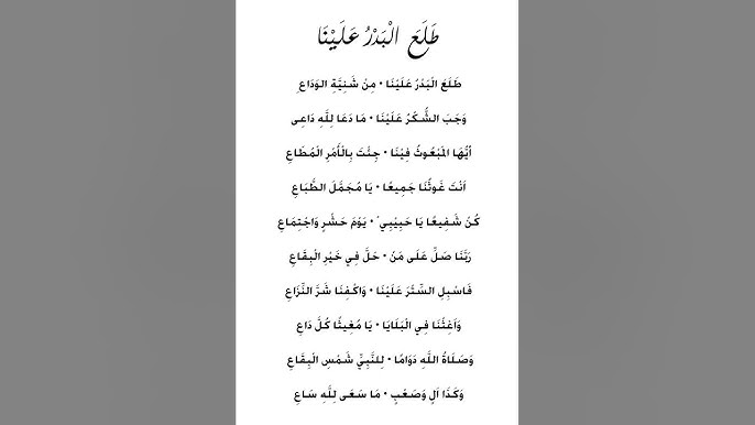 Katta mushuklarning fotosuratlari