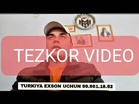 bir mushuk ichida kop cuma