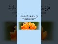 وأوحى ربك إلى النحل أن اتخذي من الجبال بيوتا ومن الشجر ومما يعرشون ياسر الدوسري