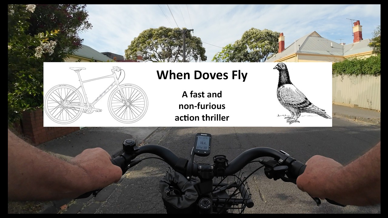 When Doves Fly - A fast and non-furious action thriller