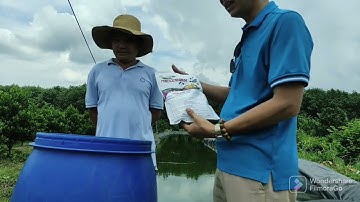 hướng dẫn cách nhân sinh khối nấm TRICODERMA liên hệ ☎0399912586 cường vf