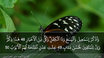 الصفحة 456 سورة ص بصوت القارئ المهندس أحمد فايز الحراسيس