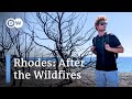 Rhodes is tourism back to normal after the wildfires on the greek island