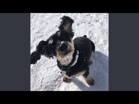 Watch Is on YouTube Watch Is on YouTube