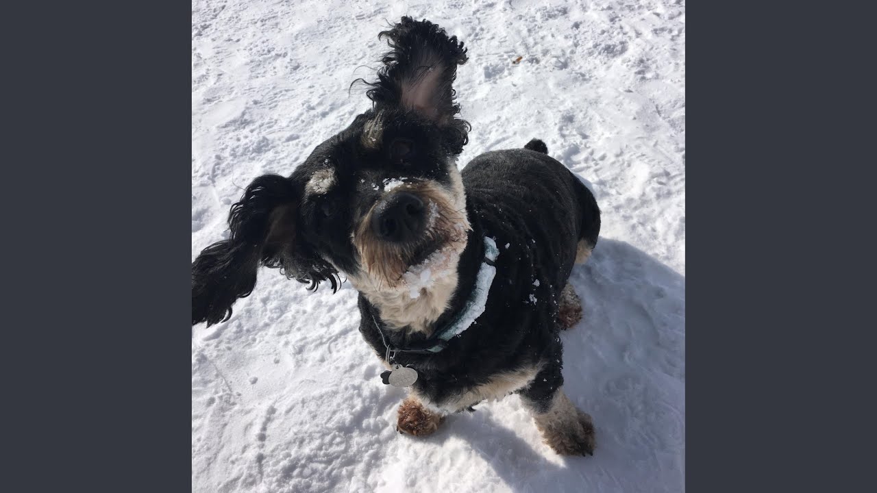 Is auf YouTube ansehen Is auf YouTube ansehen