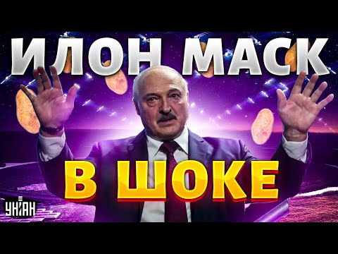 Ого! Лукашенко затмил Маска: Илона втоптали в грязь