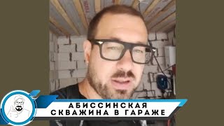 Гаражное абиссинство // водоснабжение дома через мини скважину