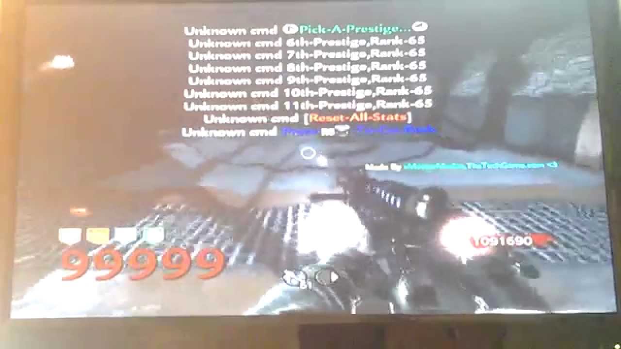 CallOfDutyKiller World At War Mod Showcase #2