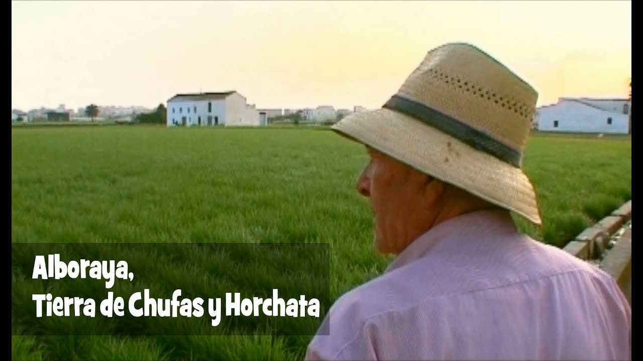 Alboraya, tierra de chufas y horchata