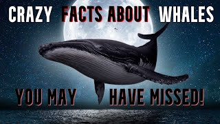 Crazy Facts about HUMPBACK, BLUE &amp; SPERM whales you may have missed!